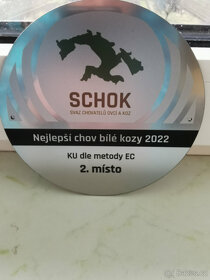 Kozí mléko - 3