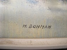 Obraz, krajina, Bohman - 3