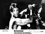 SYLVESTER STALLONE PLAGATY & FOTOSKY - 3