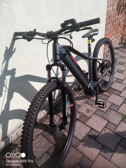 PELLS Thorr 15,5" - 3
