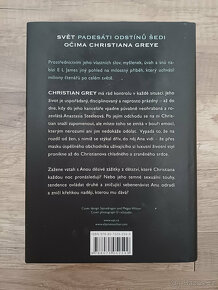 Fifty Shades: Padesát odstínů (z pohledu Greye) - 3