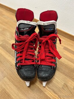 Bauer brusle - 3
