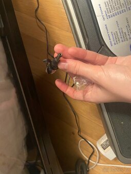 Klávesy Casio za 599 Kč - 3