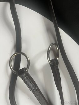 Hnědý martingal - 3