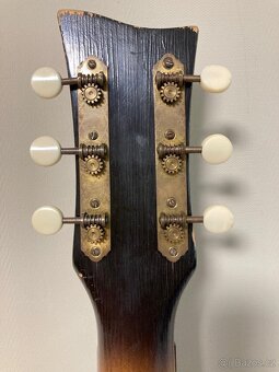 Kytara Hoyer Alva, 1964 - 3