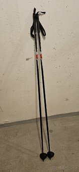 Běžky 180 cm se šupinou a hulky 140cm - 3