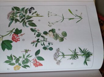 ENCYKLOPEDIE PRIRODY - 3