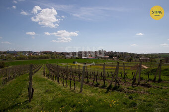 Pozemek pro rodinné vinařství s vinicemi na dvou par, 132041 - 3