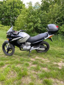 Honda varadero 125 xl - 3