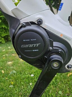 Giant Liv E+3 - 3