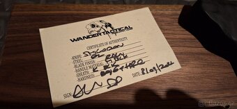 Wander tactical Schmilodon (raw finich) - 3