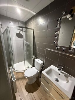 Pronájem bytu 1+kk, 30 m², Most – Česká ulice, objekt Korbel - 3