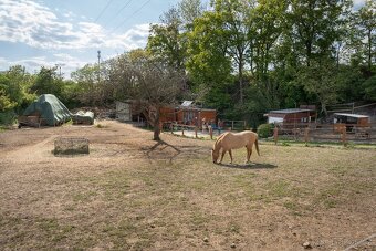 Venkovní ustájení - 3