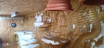 Prodám terárium - 3