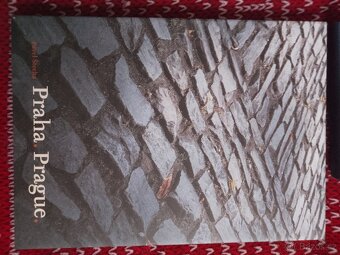 Pavel Slechta, Praha Prague - 3