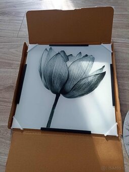 Obrázek květiny - 3