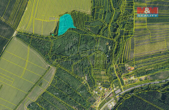 Prodej lesa, 9823 m², Lhota u Zlína - 3