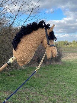 Hobby horse - 3