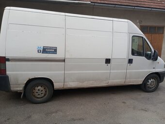 Prodám boxer - 3