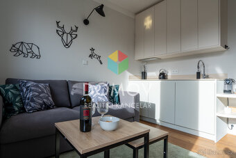 Nadstandardně zařízený apartmán 2+kk, Bratrouchov - Krkono - 3