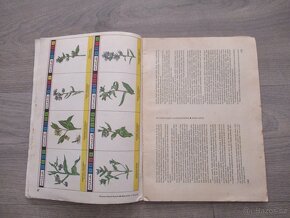 ABC - Muž přes palubu - rok 1974 - 3