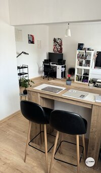 Pronájem bytové jednotky 1+1, ul. Bezručova, Frýdek-Místek - 3