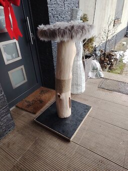 Kočičí strom 😺 - 3