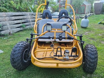 Buggy Hammerhead - 3