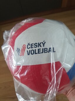 Volejbalový Míč Gala BV 5595S - 3