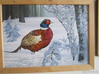 obrazy pro myslivce-bažant-tetřev-jelen-olejomalba - 3