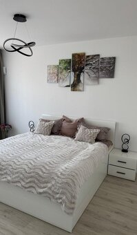 Pronájem bytu 1+1 v Praha, Ječná ulice - 3