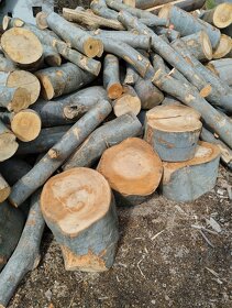 Palivové dřevo - Měkké suché - 3