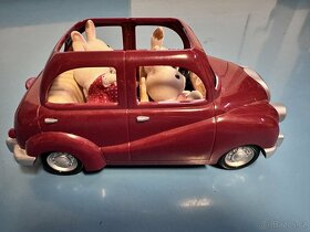 auto s králičí rodinou - 3