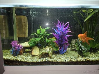 Prodam interiér.akvarium 65l - 3