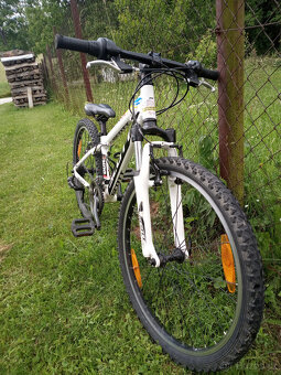 dětské horské kolo Scott 24" - 3