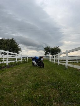 Yamaha yzf r125 - 3
