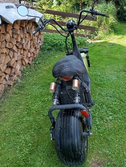 Elektro chopper 1000w - 3