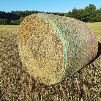 Prodám kulaté balíky pšeničné slámy - 3