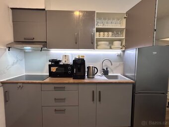 DVOULOŽNICOVÝ BYT V CENTRU PRAHY - 3