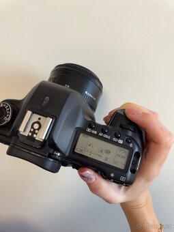 Canon 5D mark II - 3
