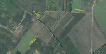 Zemědělská půda, prodej, Hrušky, Břeclav - 3