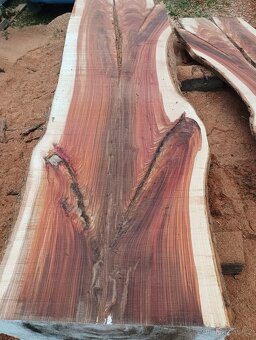 Fošny z červeného Jilmu - 3