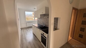 Prodej bytu 2+1 Liberec - 3