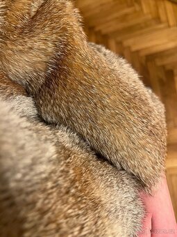 Přírodní kožich - 3