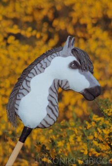 Hobby horse - 3
