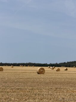 Prodej letošní slámy z pole - 3