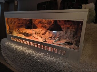 Zakázkově dělané terárium 120x42,5x50 - 3