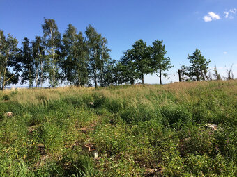 Pronájem pozemku (zahrady, louky) u Dolan, Jaroměř - 3