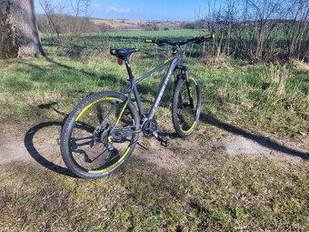 Leader Fox Arezo - 3