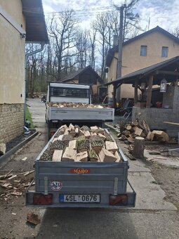 Palivové dřevo - 3